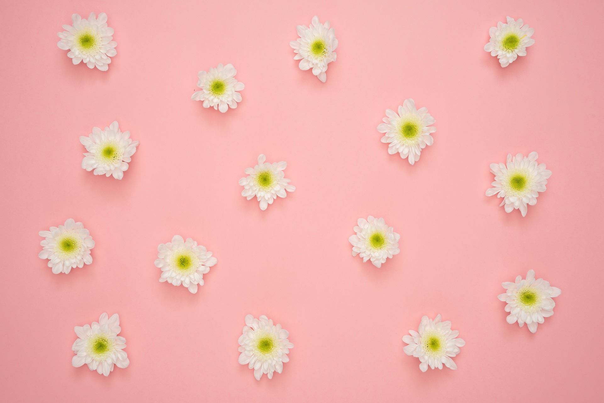 Productos Naturales para la Ducha